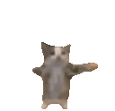 cat_happy animated Discord emote | 𝙰𝐧𝚡𝐢𝚎𝐭𝚢 𝐆𝚘𝐛𝚕𝐢𝚗𝐬