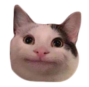 beluga_kot custom emote | New-York Reborn 2026 | RolePlay