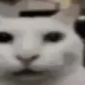 silicat custom emote from Nova Luna (新月)