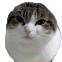 Wawa Discord Emoji from RURP | Realistic Union RP 🇺🇸