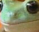 cnc_admirefrog Discord sticker | CNC Club 18+