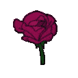 dark_pink_flower animated GIF emoji | 𝑪𝒓𝒚𝒔𝒕𝒂𝒍 𝑴𝒊𝒏𝒆 18+