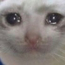 Triste custom emote | Fight Club