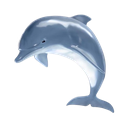 grinderdolphin Discord sticker - The Grinder