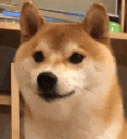 SR_shibateeth animated GIF emoji - Shadowrift