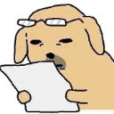 gy Discord sticker from Blackcat