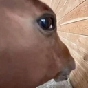 33805sus Discord Emoji | Real Eyes Realize Real Lies