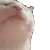 catJAM animated Discord emote | No-Sell Jobbers🤼