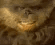 The Grinch wearing a mischievous, lopsided smirk.