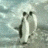 penguinslaps animated emote from The Chill Zone