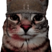 soldjacat Discord sticker | Study Space