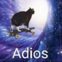 A black and white cat riding a skateboard into a swirling purple and blue cosmic portal with the word Adios below it.