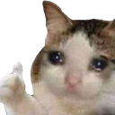 crythumbsupcat custom emote | RIZZ HEAVEN | Chill • Hangout • VC • SFW • Events • Friends • Giveaways • Ask to DM • Non Dating