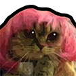 A cat wearing a bright pink wig with a blank, confused expression.