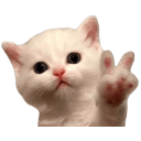 kittenpeace Discord sticker | Sammy's Indie-Electro Lounge