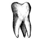 036_tooth Discord sticker - Rabbit Hole