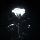 etherealflower custom emote | 𝔗𝔥𝔢 𝚨𝖇𝖘𝖚𝖗𝖉𝖎𝖘𝖙𝖘 ™