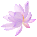 06_purpleflower Discord Emoji | 𝐼𝓂𝓅𝓊𝓁𝓈𝑒 𝟣𝟪+
