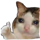 sadcat custom emote | 🐾 Lisia Nora 🐾
