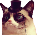 2524grumpycattophat Discord sticker | (っ◔◡◔)っ ♥ Infinity Hub ♥™