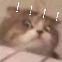 luolol Discord Emoji - 遊戲小鎮