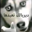 emoji_4 Discord Emoji - 𝐌𝐗𝐏𝐈𝐎𝐑𝐄𝐑 𝐂𝐨𝐦𝐦𝐮𝐧𝐢𝐭𝐲