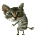 catdance animated emote - →﹐ ⛩ ﹒ Bazinga!!!﹒⟢