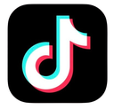 logo_tiktok Discord Emoji from Bitplay