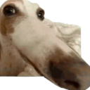 doggo custom emote - SARA - Space Astronomy & Research Alliance