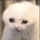 Screenshot20260413203717 custom emote - Vandox_YT