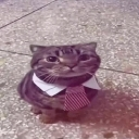 A tabby cat wearing a white collared shirt and a red tie looking directly at the camera.