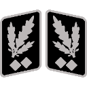 SSObergruppenfhrer_collar_rank Discord sticker from Macuspana Empire