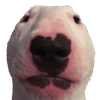 memes_stare_dog Discord sticker - the gaang