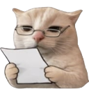 Catnoted Discord Emoji from Động Ếch Của Nhi Elly