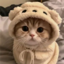 catlove custom emote | Crow AI #Renaissance