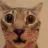 catstare Discord sticker from ♥гẸúϻẸƤӹ♥
