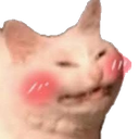 cat_blush Discord Emoji from /r/christians
