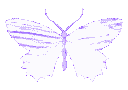 A series of four pixelated butterflies in varying shades of purple showing a transformation sequence.