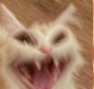 tower_catlaugh Discord sticker from 𝐒𝐏𝟐 | 𝐌𝐎𝐃 𝐏𝐎𝐋𝐈𝐂𝐄