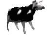 DancingCow animated emote | Froster's Lair