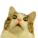 96 Discord sticker - 🦄🌸Gatos Cósmicos🌸🦄