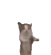 happycat animated emote from Advertise Your Servers📺