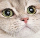 naomi Discord Emoji from Mirror Universe
