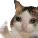 sadcat Discord Emoji - Messi Official