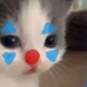 gatin_palhaco Discord Emoji - 🔥🔞 Canto da Putaria 🔥🔞