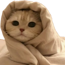 442830comfycat Discord sticker from A2Cloud Best Free & Paid Hosting