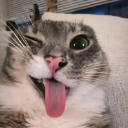 Screenshot_20260726004058 Discord Emoji - N,A