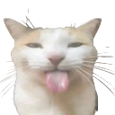 c_silly Discord Emoji - ࣪ ִֶָ☾. Lᥙᥒᥲr Loᥙᥒgᥱ ࣪ ִֶָ☾.