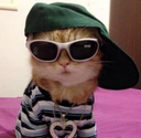 Cr_cool custom emote from #~ 𝐄𝐦𝐩𝐢𝐫𝐞 𝐖𝐞𝐬𝐭 𝟏𝟖𝟕