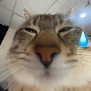 catxamlozquadelbitnoijlun custom emote - 𝘙𝘌𝘈𝘓𝘐𝘛𝘠 𝘈𝘞𝘈𝘐𝘛𝘚... but after 24.7